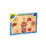Playwood Ahşap Tutmalı Vücudumuzu Tanıyalım Puzzle