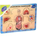 Playwood Çocuk Zeka Puzzle Ahşap Oyunları - Renkli