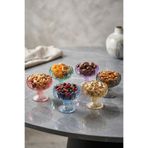 PLT Design Mimoza 6 Renk Ayaklı Çerezlik Dondurmalık Sunum Kasesi 105ml