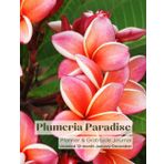 Plumeria Paradise: Planner & Gratitude Journal Undated 12-month January-December
