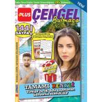 Plus Çengel Bulmaca 014