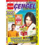 Plus Çengel Bulmaca 4