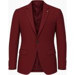 Plus Scorpion Bordo Erkek Tek Düğmeli Blazer Ceket – Dokulu Kumaş, Tek Yırtmaçlı Şık Tasarım - 54 - 6 Drop