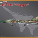 PM Model Su-15 TM Flagon Plastik Uçak Maket Kiti
