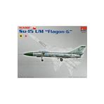 PM Model Sukhoi Su-15 Tm Flagon Savaş Uçağı Maketi
