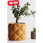 Pofuduk Yuvarlak Tasarım Estetik Modern Saksı - Şişme Görünümlü Dekoratif Çiçek ve Sukulent Vazosu Turuncu - 10cm