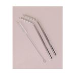 Pointtech 2'Li Paslanmaz Çelik Pipet, Temizleme Fırçası, Metal Pipet