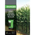 Polen Ranger Silajlık Mısır Tohumu (90 Günlük 50.000 Adet) - 1 Adet