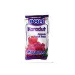 Poli 300 gr Karadut Aromalı Toz İçecek