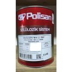 Polisan 5002 2,5 KG Deniz Mavisi Selülozik Boya
