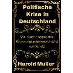 Politische Krise in Deutschland: Die Auswirkungen des Regierungszusammenbruchs von Scholz