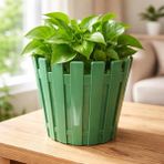 Poliva Home Akasya Pastel Saksı 1 Litre 14 cm Plastik Drenaj Izgaralı Çiçek Saksısı Katüs Skulent Saksı - Yeşil