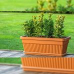 Poliva Home Kemer Bahçe Tabaklı Saksı Balkon Uzun Saksı 22 Litre