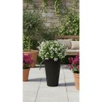 Poliva Lilyum Model Büyük Dekoratif Modern Saksı ve Vazo ( 30 cm x 58 cm ) Iç Hazneli - Siyah