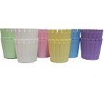 Poliwork Akasya Kaktüs Saksısı Fresh Mix 5,5 cm 12'li 0,1 Lt