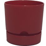 Poliwork Begonya 12 cm Bordo Saksı