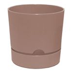 Poliwork Begonya 15 cm Krem Saksı
