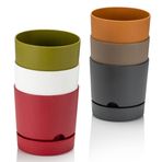 Poliwork Begonya 15 cm Renkli Plastik Tabaklı Saksı
