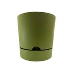 Poliwork Begonya 15 cm Yeşil Tabaklı Saksı