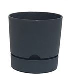 Poliwork Begonya 150x145 mm Antrasit Saksı