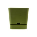Poliwork Begonya 16 cm Yeşil Kare Tabaklı Saksı