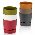 Poliwork Begonya 18 Cm Renkli Plastik Tabaklı Saksı
