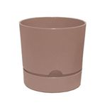 Poliwork Begonya 21 cm Krem Saksı