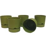 Poliwork Begonya 9 cm Tabaklı Saksı 0,5 Lt 5'li - Yeşil