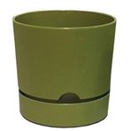 Poliwork Begonya 9 cm Yosun Yeşili Saksı