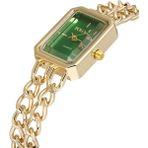 Polo Air Vintage Zincir Kordon Kadın Kol Saati Gold Yeşil PL-1503B3X - Altın - Yeşil