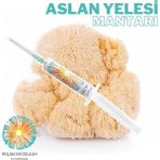 Polski Mycelium Aslan Yelesi Mantarı Sıvı Misel Ana Kültürü Maliyet Azaltıcı 5 cc Lions Mane Mushroom Liquid Culture - 1 Adet