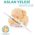 Polski Mycelium Aslan Yelesi Mantarı Sıvı Miseli 5 ml Mantar Tohumu Mantar Miseli Ana Kültür Misel ve Kompost Üretmek Için - 1 Adet