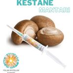 Polski Mycelium Kestane Mantarı Sıvı Miseli 5 ml Mantar Tohumu Mantar Miseli Ana Kültür Misel ve Kompost Üretmek Için - 1 Adet