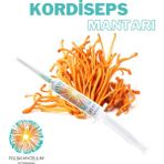 Polski Mycelium Kordiseps Mantarı Sıvı Miseli 5 ml Cordyceps Mantar Tohumu Mantar Miseli Ana Kültür Misel ve Kompost Üretmek Için - 1 Adet