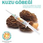 Polski Mycelium Kuzu Göbeği Mantarı Sıvı Misel 5 cc - Sıvı Mantar Tohumu Ana Kültür - 1 Adet