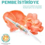 Polski Mycelium Pembe Istiridye Mantarı Sıvı Miseli 5 ml Mantar Tohumu Mantar Miseli Kompost ve Misel Üretimi Için Ana Kültür - 1 Adet