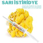Polski Mycelium Sarı Istiridye Mantarı Sıvı Miseli 5 ml Mantar Tohumu Mantar Miseli Ana Kültür Misel ve Kompost Üretmek Için 1 Adet
