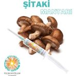 Polski Mycelium Şitaki (Shitakee) Mantarı Sıvı Miseli 5 ml Mantar Tohumu Mantar Miseli Kompost Için Ana Kültür - 1 Adet