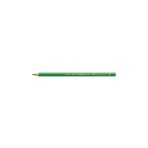 Polychromos Artist Kuru Boya Kalemi 112 Leaf Green (Yaprak Yeşili)