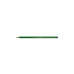 Polychromos Artist Kuru Boya Kalemi 266 Permanent Green (Sabit Yeşil)