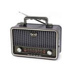 Polygold PG-4401 Nostaljik Radyo - Siyah