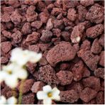 Pomza Taşı 5 kg 1,5-2,5 cm Kırmızı Pomza Tarım Pomzası Bahçe Saksı Teraryum Taşı Ponza