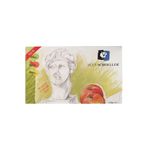 Ponart Alex Schoeller 120 Gr 35x50 Cm 15 Sayfa Spiralli Suluboya Defteri 12035
