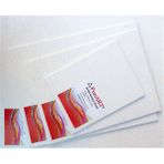 Ponart Pres A3 Tuval