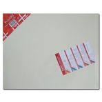 Ponart Profesyonel Plus 45x70 cm Tuval
