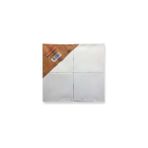 Ponart PTB-15x15 Basics Quality 15x15 cm 4lü Tuval