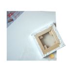 Ponart Xl 50X50 Tuval