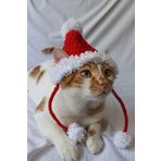 Ponponlu Yeni Yil Kedi Kopek Sapkasi Yilbasi Noel Kirmizi Orgu Bere Pet Aksesuarlari