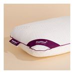 Pony Yatak Papıllow Innovation Coolplus Pro Lateks King 60x40x15 cm Yastık