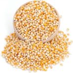 Popcorn Mısır (Cin Mısır)